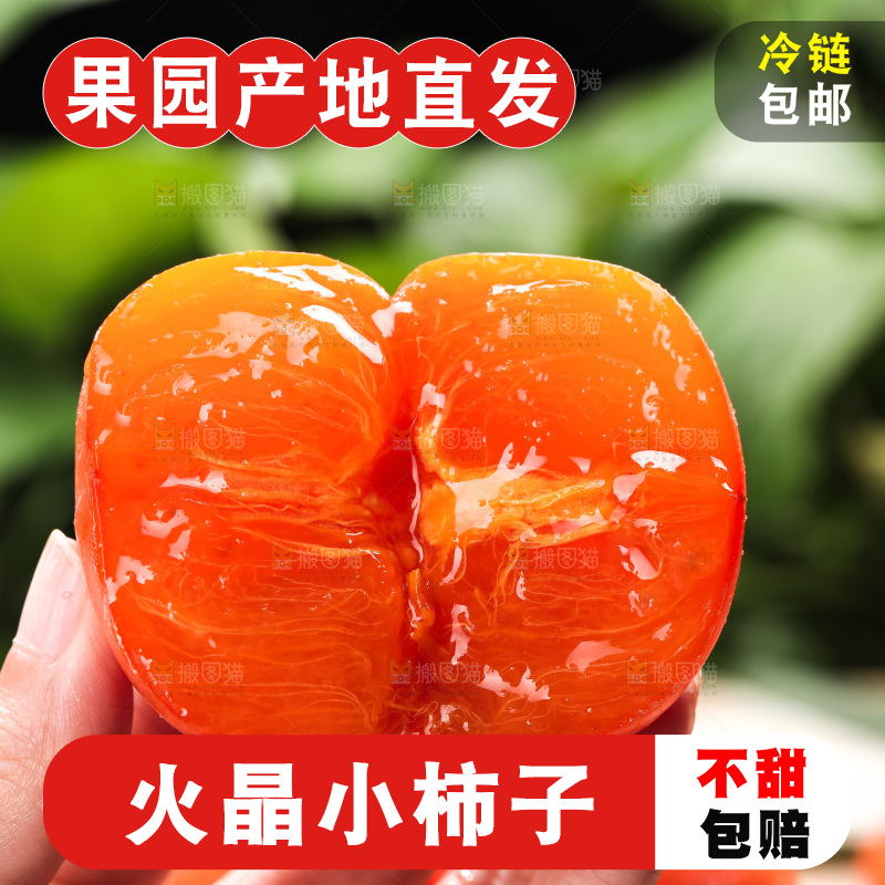 火晶柿子