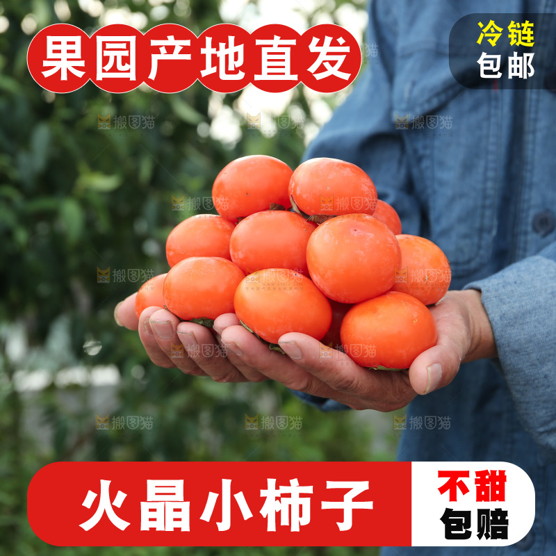 火晶柿子