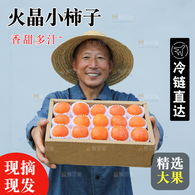 火晶柿子