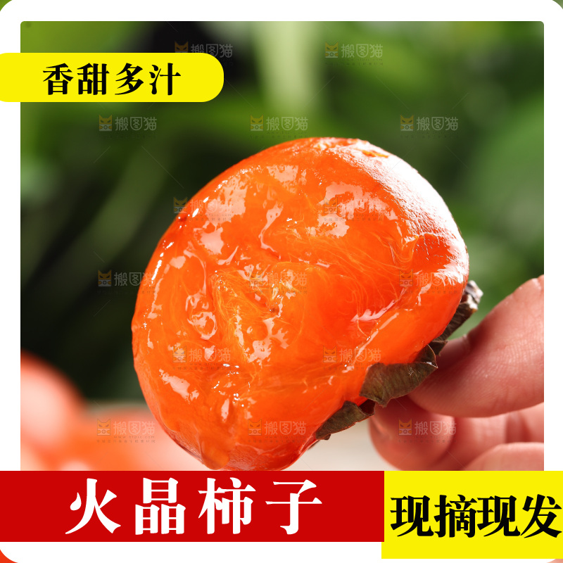 火晶柿子