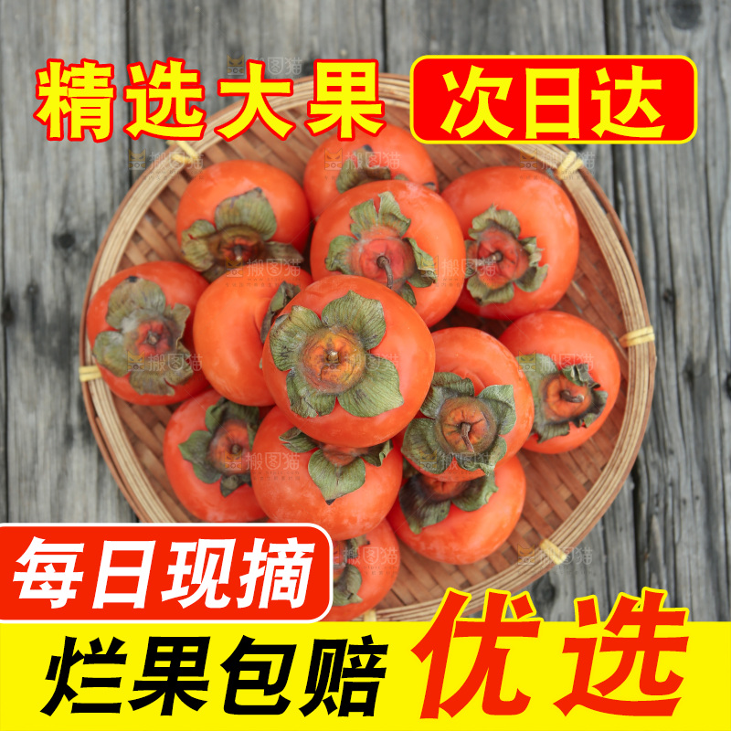 火晶柿子