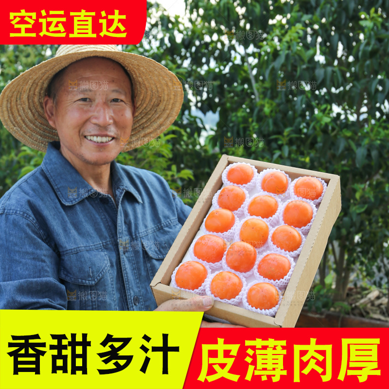 火晶柿子