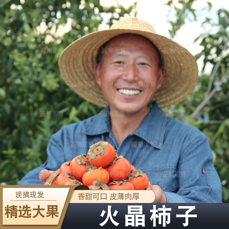 火晶柿子
