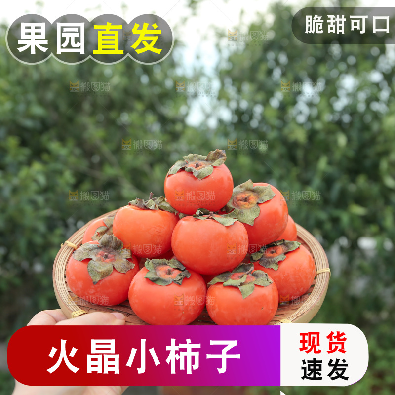 火晶柿子