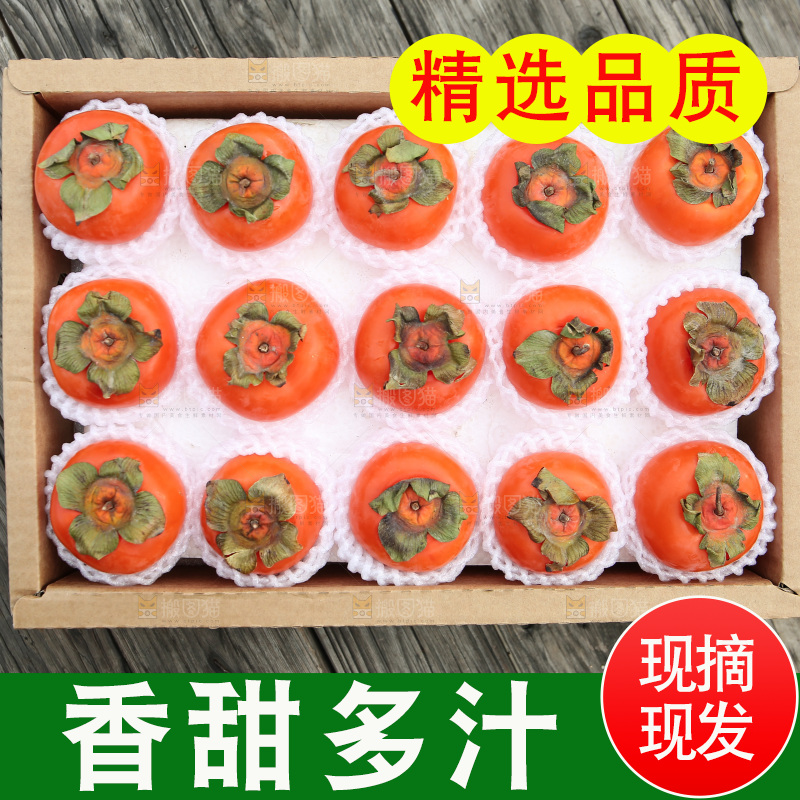 火晶柿子