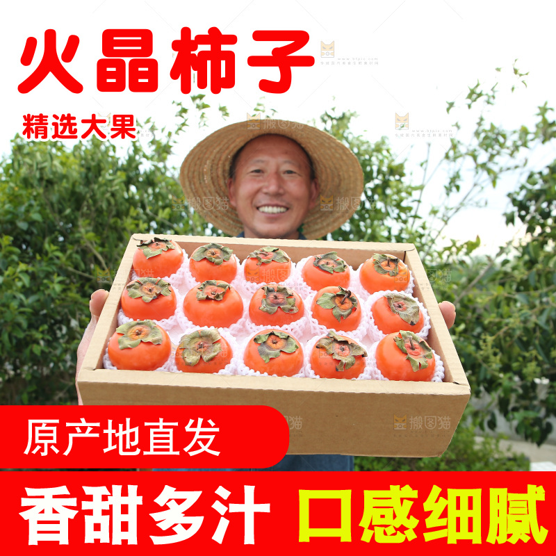 火晶柿子