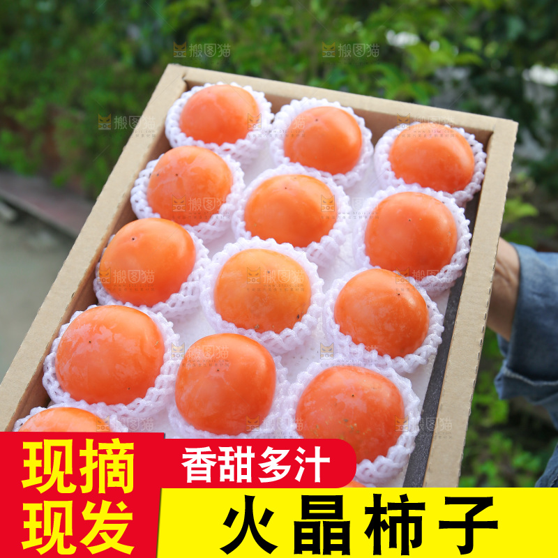 火晶柿子