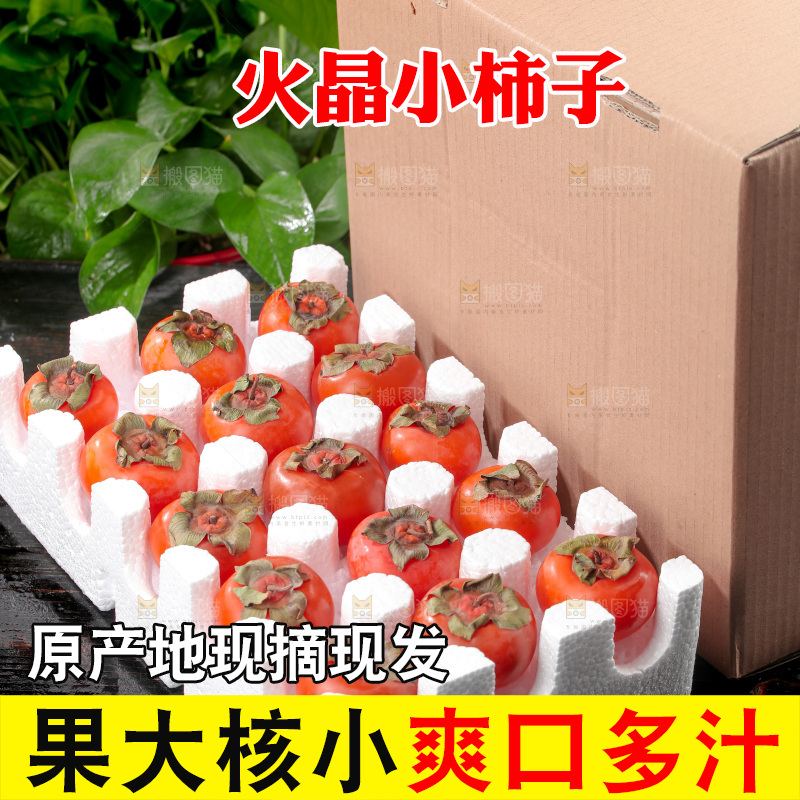 火晶柿子
