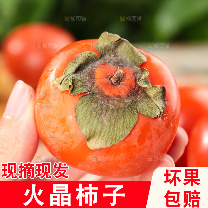 火晶柿子