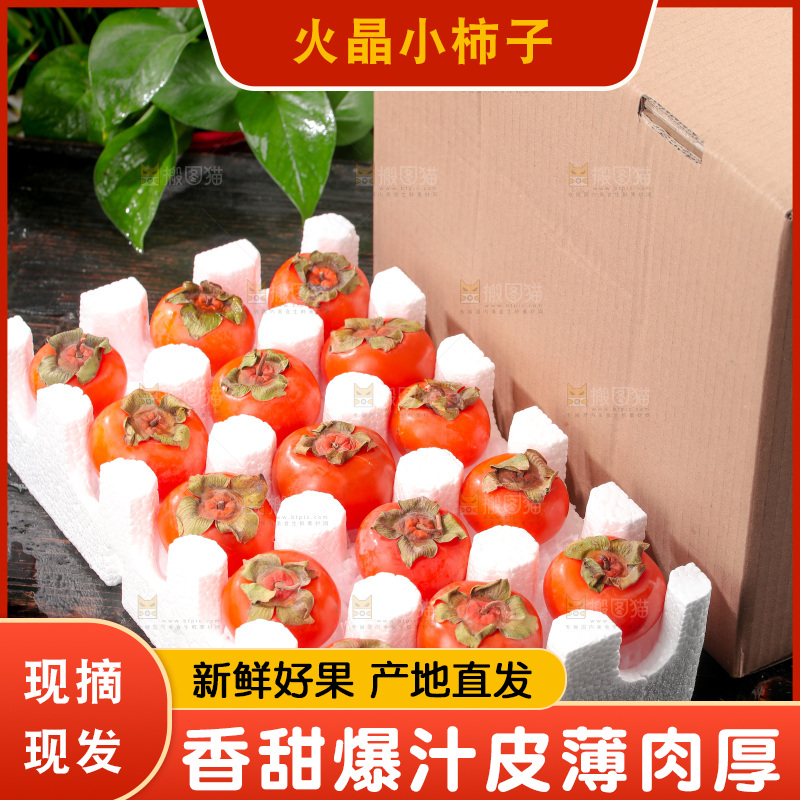 火晶柿子