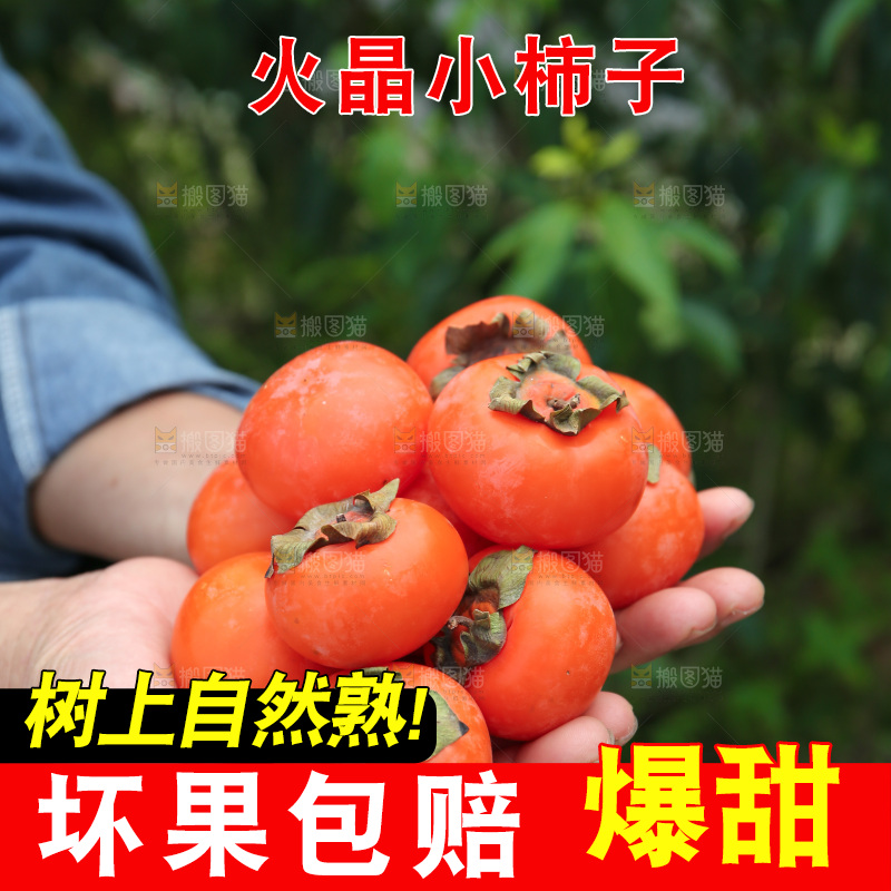 火晶柿子