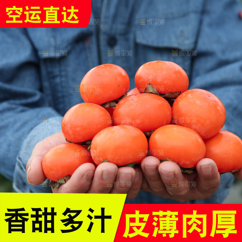 火晶柿子