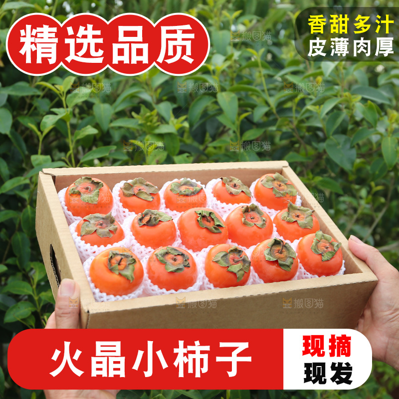 火晶柿子