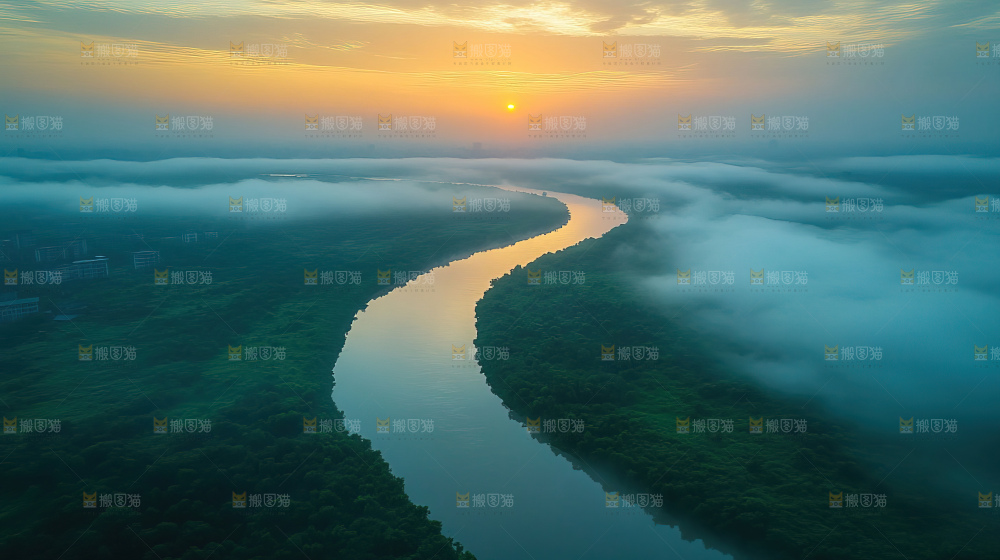湿地栖息地沼泽自然环境保护区森林绿色