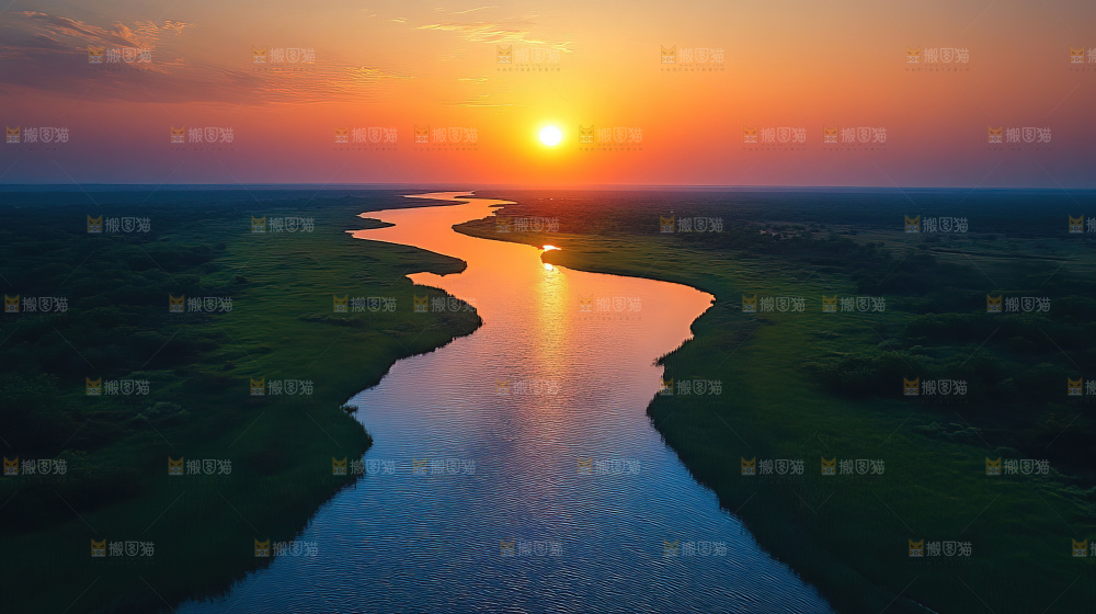 湿地栖息地沼泽自然环境保护区森林绿色