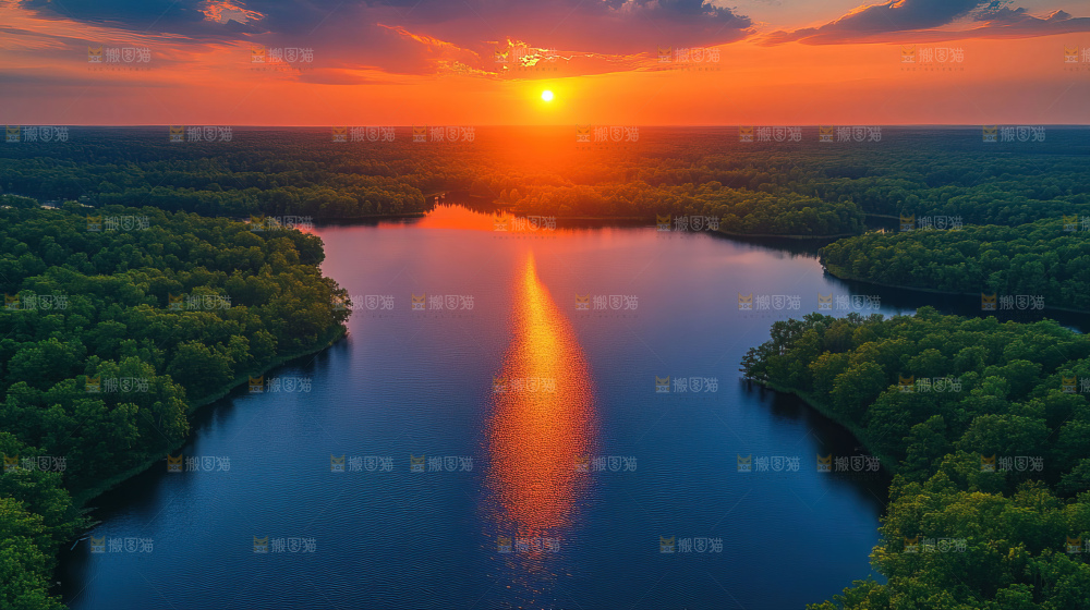 湿地栖息地沼泽自然环境保护区森林绿色