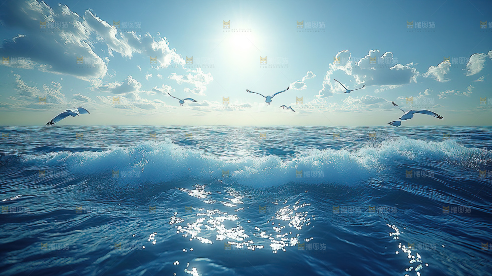 大海 海鸥 纯净 宁静 自然 风景