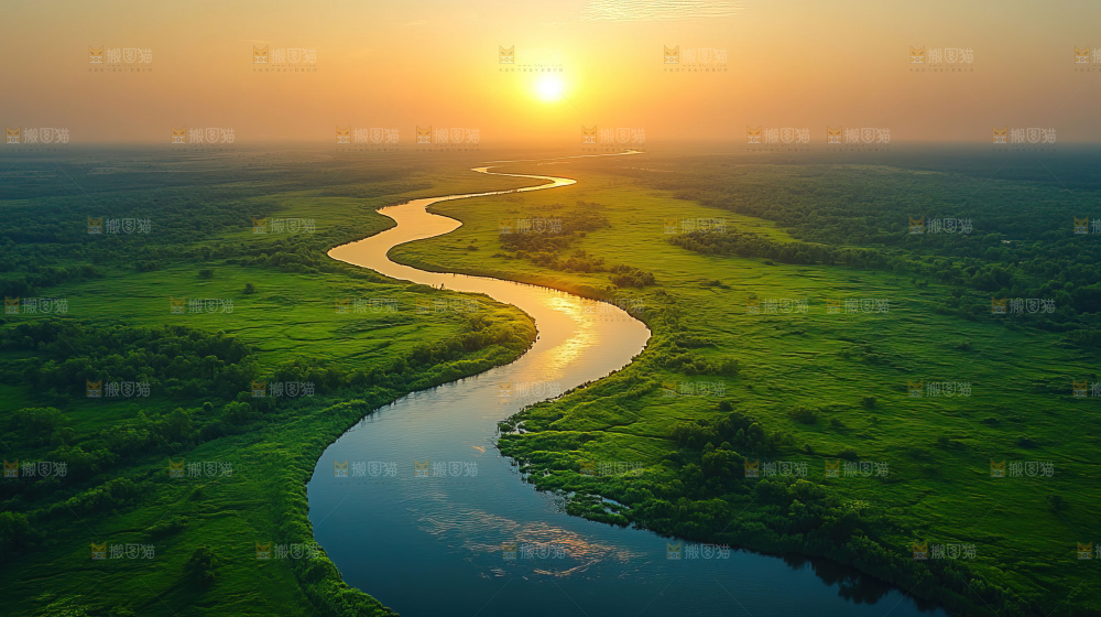 湿地栖息地沼泽自然环境保护区森林绿色