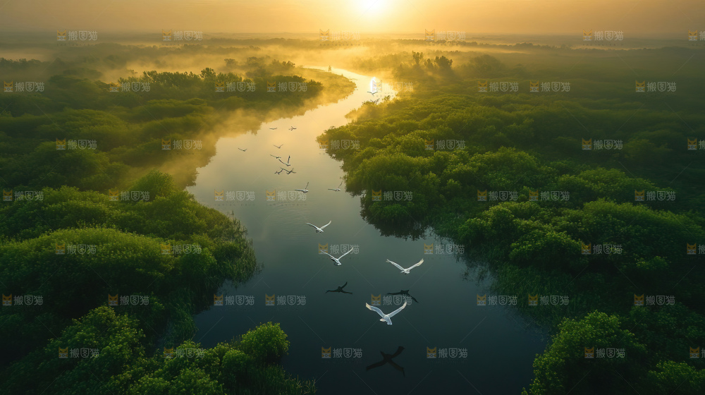 飞鸟湿地栖息鸟类生态水域风景