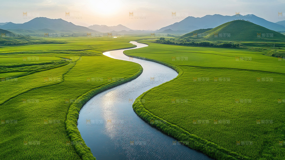 湿地栖息地沼泽自然环境保护区森林绿色