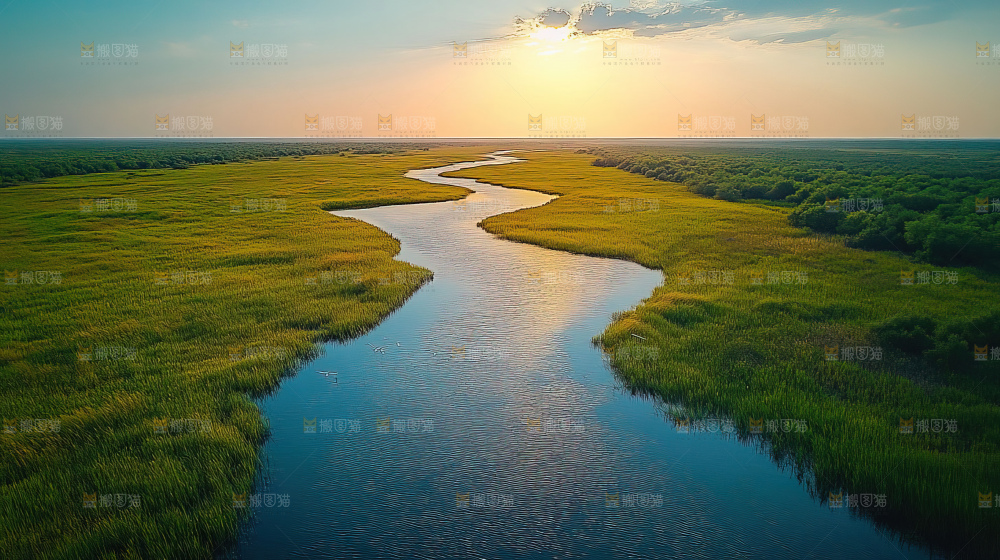 湿地栖息地沼泽自然环境保护区森林绿色