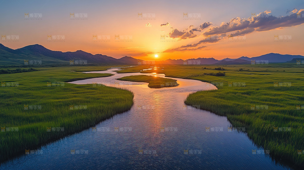 湿地栖息地沼泽自然环境保护区森林绿色