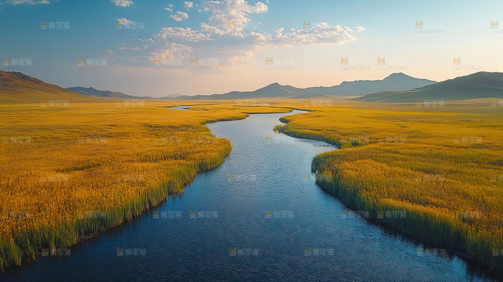 湿地栖息地沼泽自然环境保护区森林绿色