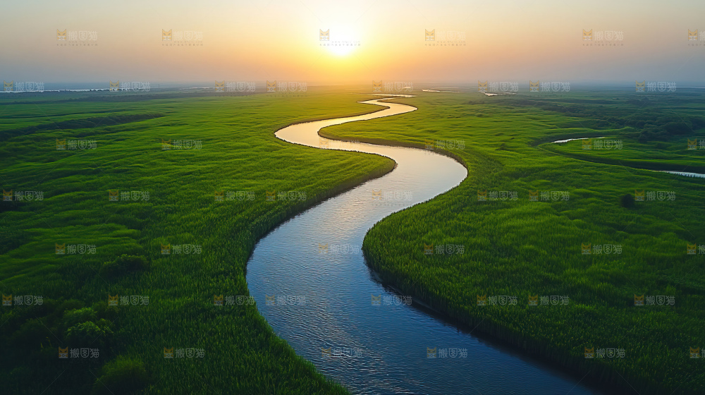 湿地栖息地沼泽自然环境保护区森林绿色