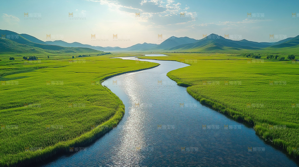 湿地栖息地沼泽自然环境保护区森林绿色