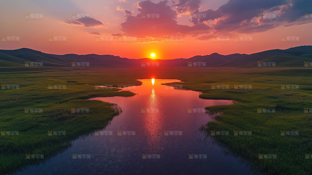 湿地栖息地沼泽自然环境保护区森林绿色