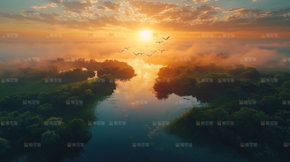 飞鸟湿地栖息鸟类生态水域风景