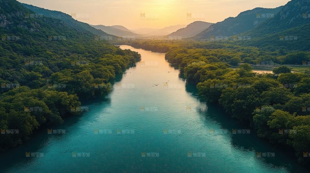 湿地栖息地沼泽自然环境保护区森林绿色