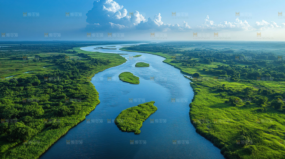湿地栖息地沼泽自然环境保护区森林绿色