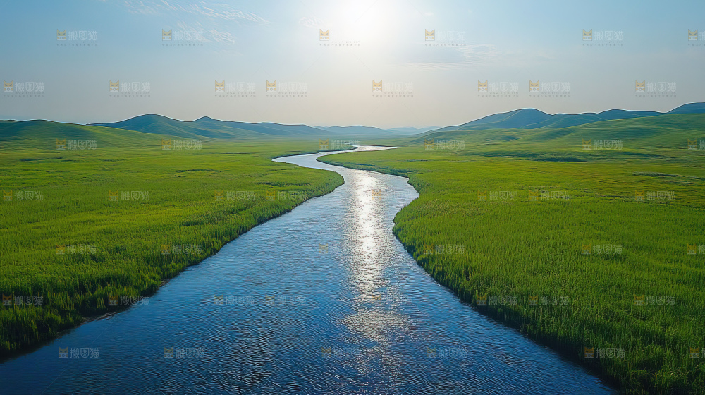 湿地栖息地沼泽自然环境保护区森林绿色
