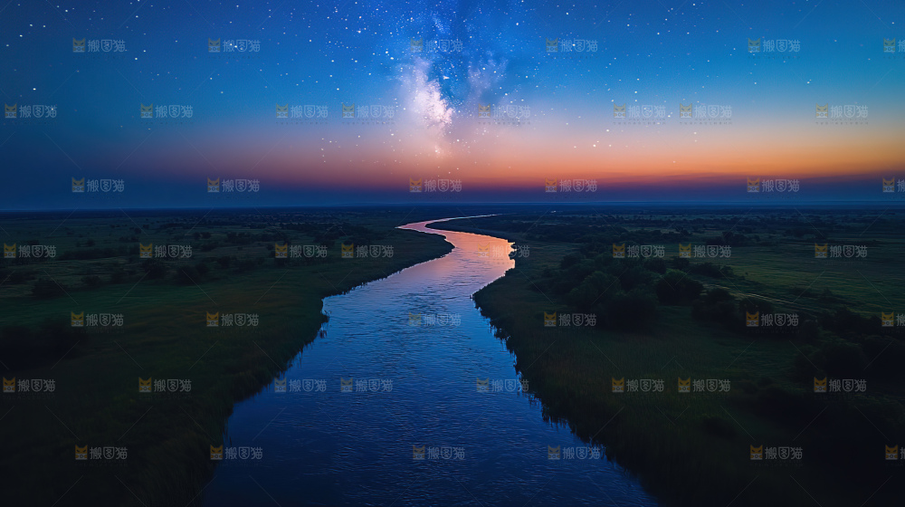 湿地栖息地沼泽自然环境保护区森林绿色