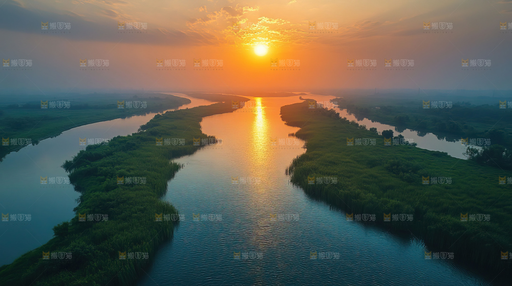 湿地栖息地沼泽自然环境保护区森林绿色