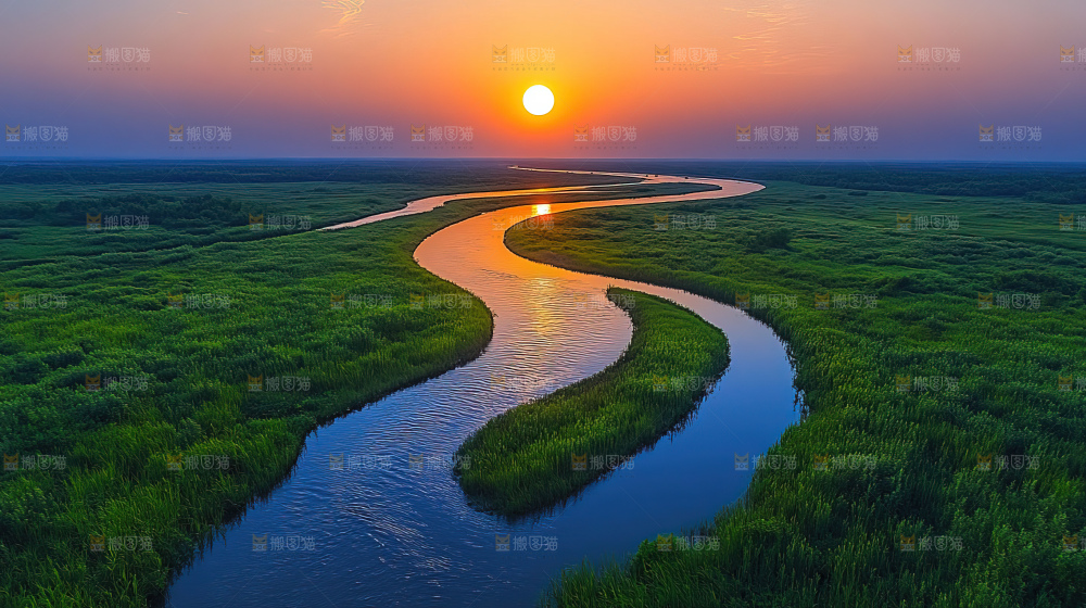 湿地栖息地沼泽自然环境保护区森林绿色