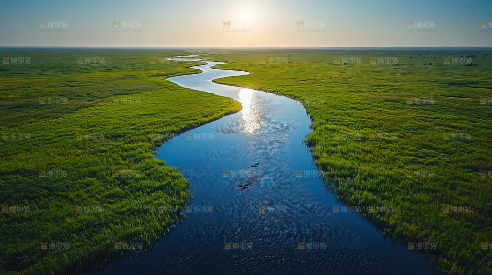 湿地栖息地沼泽自然环境保护区森林绿色