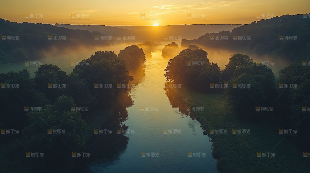 湿地栖息地沼泽自然环境保护区森林绿色