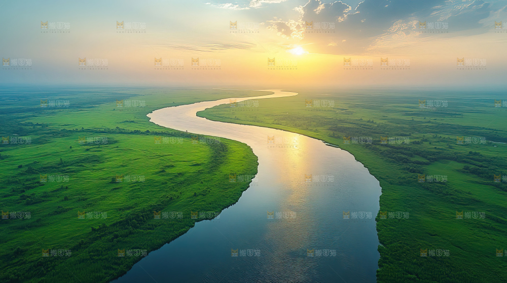 湿地栖息地沼泽自然环境保护区森林绿色
