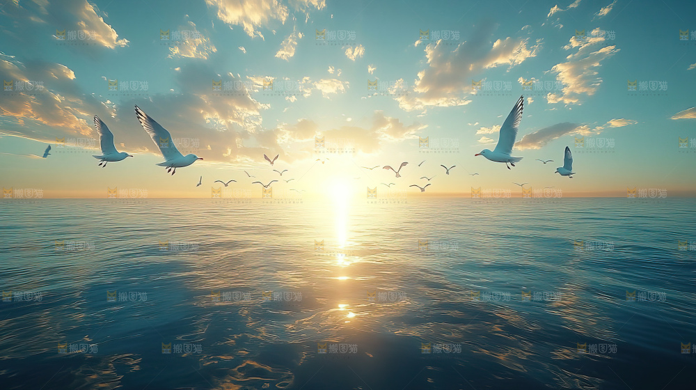 大海 海鸥 纯净 宁静 自然 风景