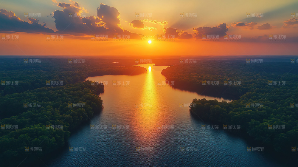 湿地栖息地沼泽自然环境保护区森林绿色