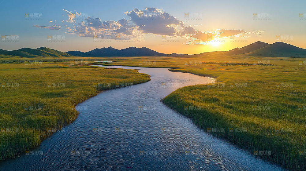 湿地栖息地沼泽自然环境保护区森林绿色