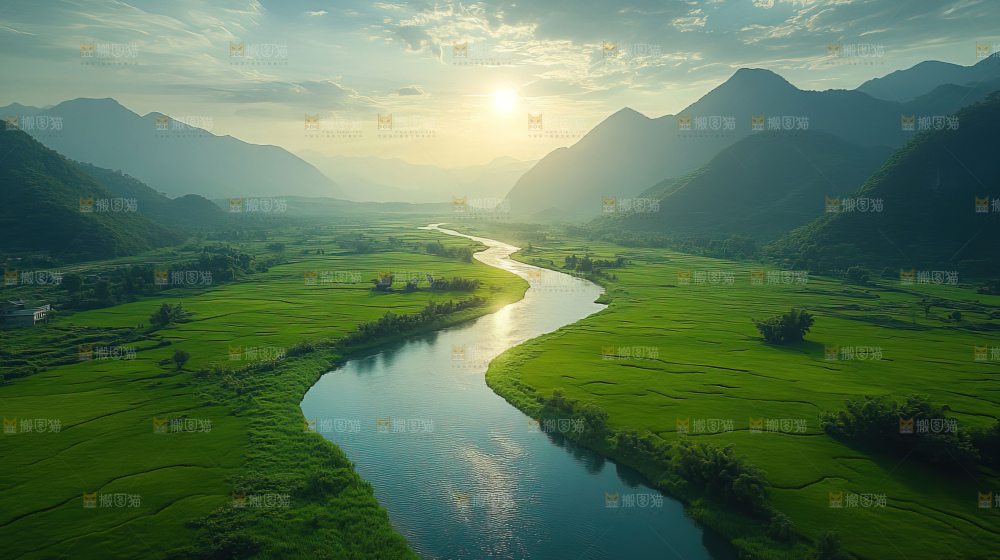 湿地栖息地沼泽自然环境保护区森林绿色