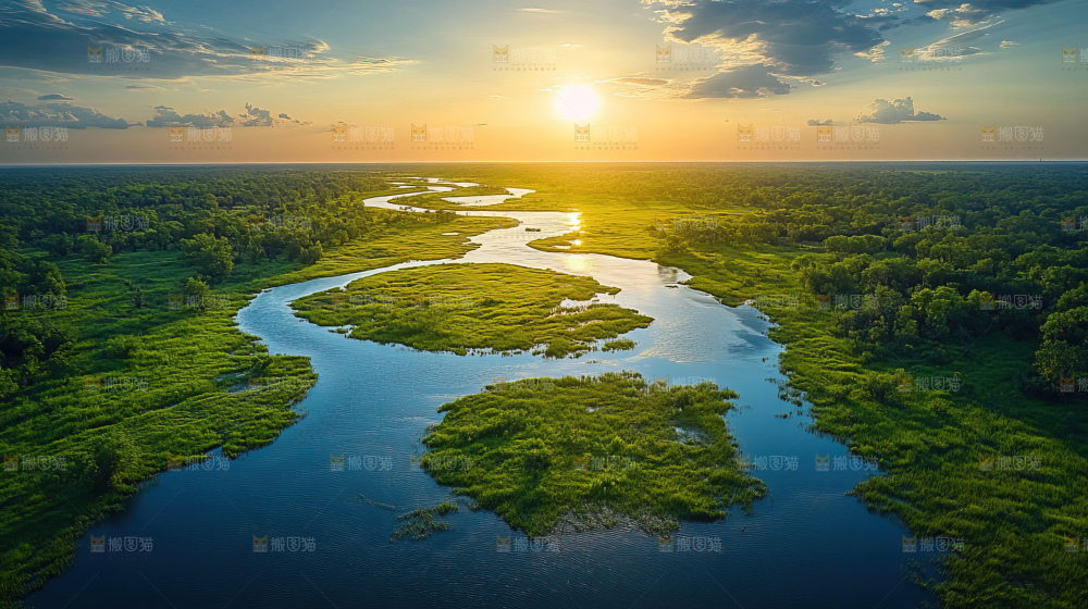 湿地栖息地沼泽自然环境保护区森林绿色