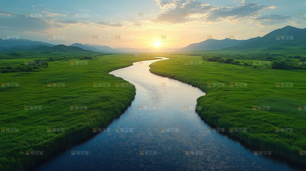 湿地栖息地沼泽自然环境保护区森林绿色