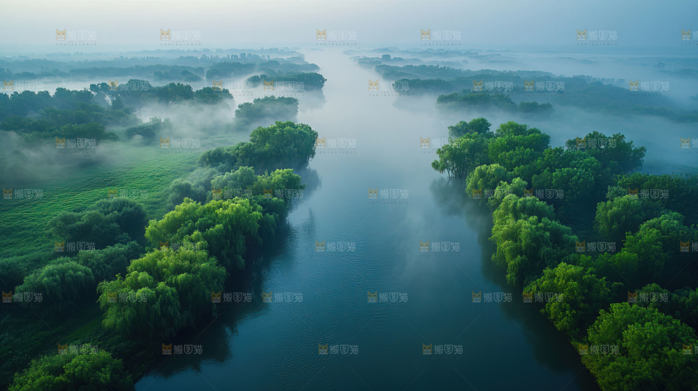 湿地栖息地沼泽自然环境保护区森林绿色