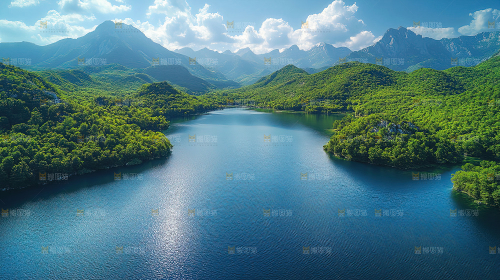 湿地栖息地沼泽自然环境保护区森林绿色