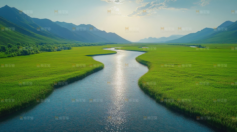 湿地栖息地沼泽自然环境保护区森林绿色