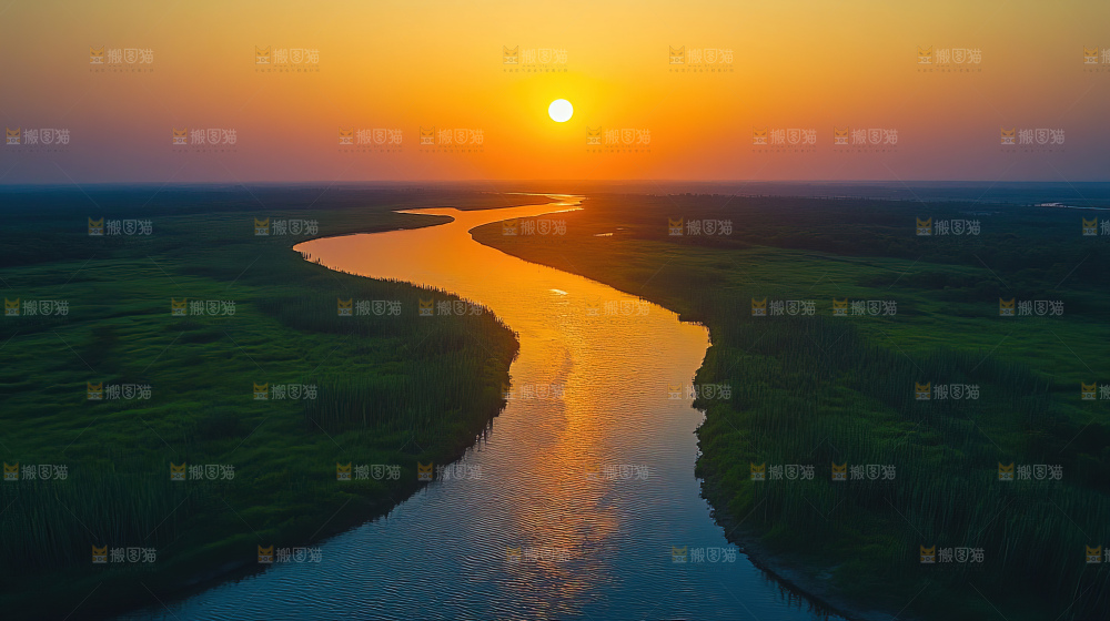 湿地栖息地沼泽自然环境保护区森林绿色